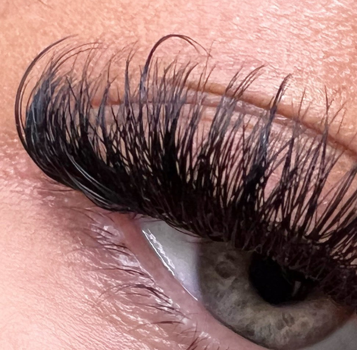 Classic & Hybrid Lash Course