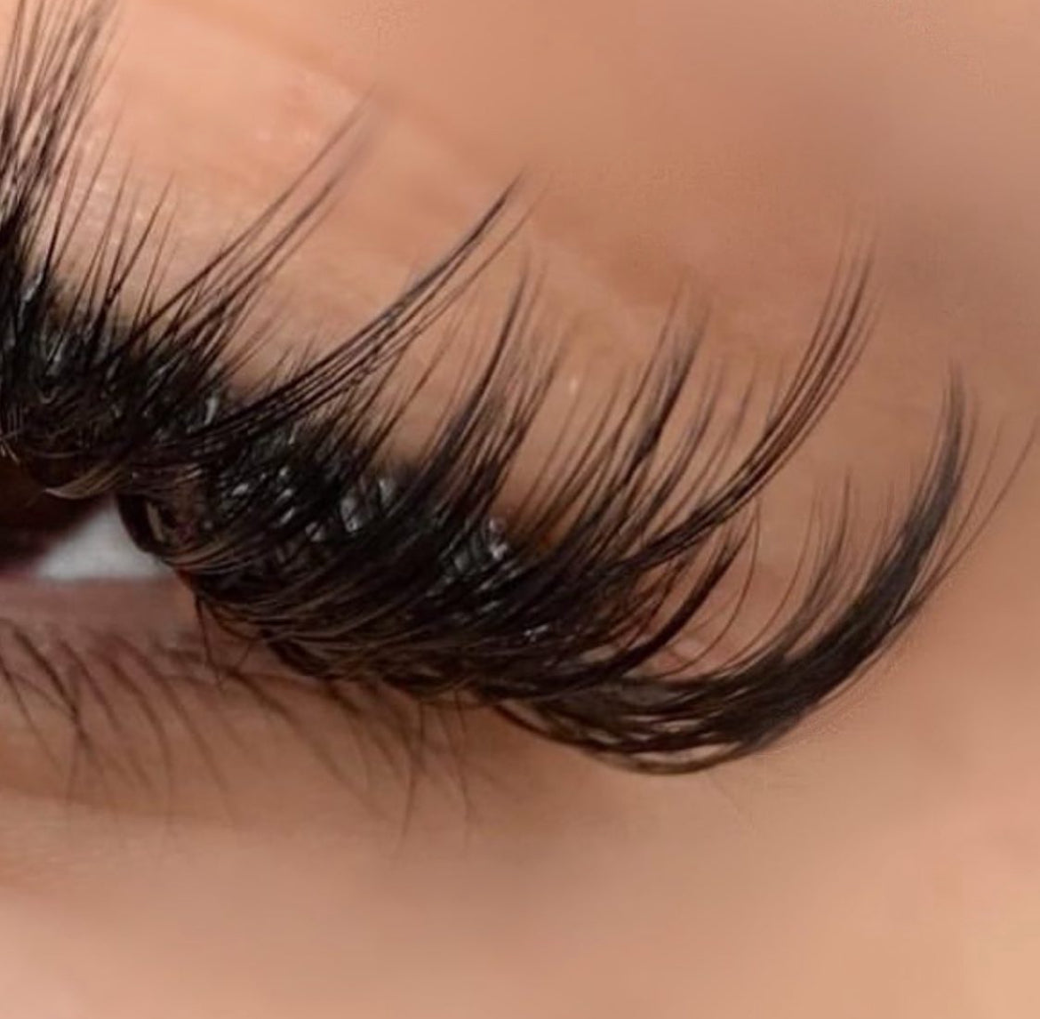 Classic & Hybrid Lash Course