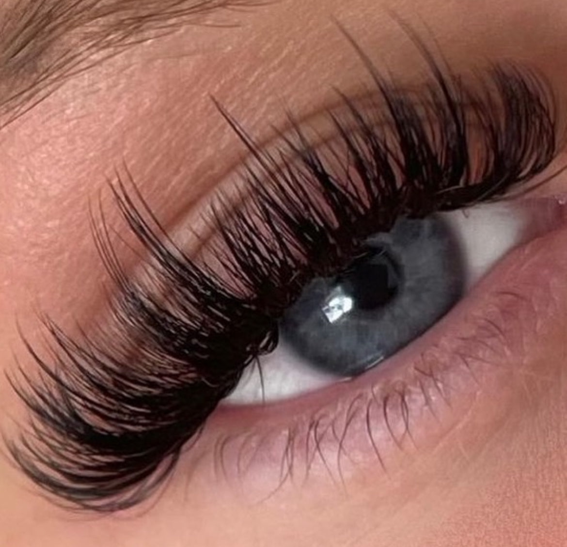 Classic & Hybrid Lash Course